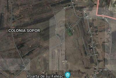 Spațiu comercial, în Sopor