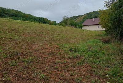 Casa de vanzare Galgau Almasului - 4