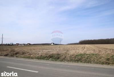 Teren de 9740 mp, în Bosanci - 3