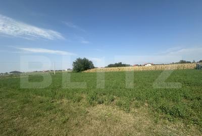 Teren intravilan, 1300mp ,Paule?ti - 1