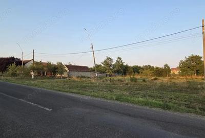 Teren de 1600 mp, în Sacoșu Turcesc - 11