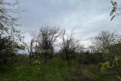 Teren 1895 mp, in Carcea, front 21 ml, toate utilitatile Teren 1895 mp, in Carcea, front 21 ml, toate utilitatile - 5