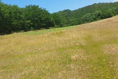 Teren de 7200 mp, în Someș-Odorhei - 2