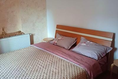 Casă cu 4 camere cu Teren 800 Mp în Valea Muscelului - 2