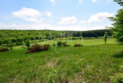 Teren intravilan pentru constructii de vanzare in Chinteni - 4