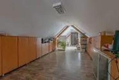 CASA BARTOLOMEU- sediu firma/ comercial/ servicii- zona circulata - 7