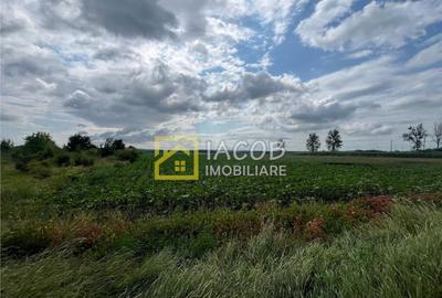 Teren intravilan, 8333 mp, la E85, comuna Secuienii Noi, jud - 16