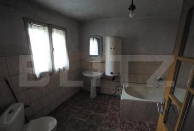 Casa saseasca de vanzare, Livezile - 7