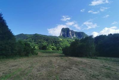 Teren de 3650 mp, în Rimetea - 3