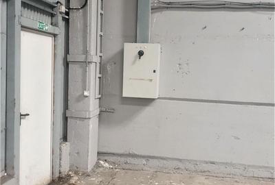 Spațiu industrial, de 1,250 mp, în Giarmata - 6