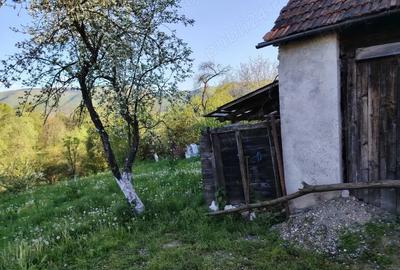 Teren 800 mp in Sarmizegetusa, cu anexa veche (demolabila), u?or in panta - 6