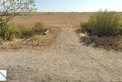 Teren de 22000 mp, în Corbii Mari - 2