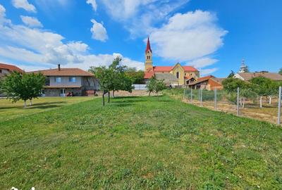 Casă cu 5 camere cu Teren 1200 Mp în Cenad - 10