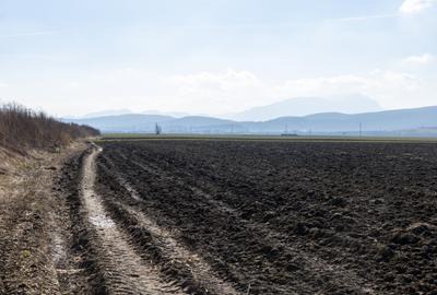Teren agricol extravilan de 19239 mp, în Vulcan - 12