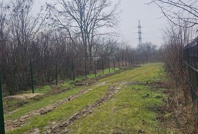 Teren Construcții intravilan de 600 mp, în Cornetu - 2