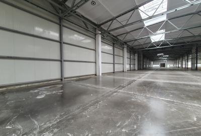 Spațiu industrial, în Astra - 1