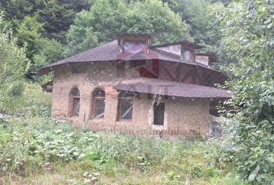 Casă cu 6 camere cu Teren 2700 Mp în Bradu - 17