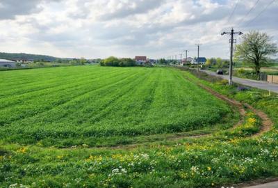 Teren de 7811 mp, în Ciolpani