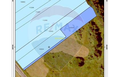 Teren de vanzare Sacele I Brasov - Oportunitate de invest... - 4