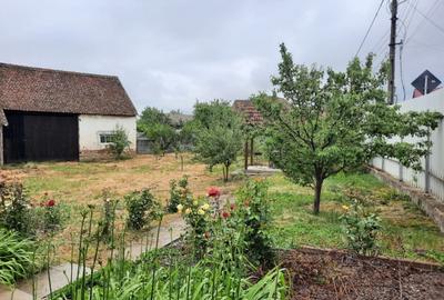 Comuna Augustin, casa deosebita, renovata integral, mobilata si utilata full!!! - 8