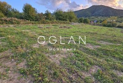 Teren cu PUZ si utilitati, Cisnadie, COMISION 0% Teren cu PUZ si utilitati, Cisnadie, COMISION 0% - 3