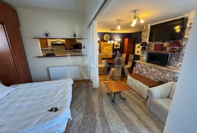 Studio | Gata de mutat | Terasa + Intimitate totala Studio | Gata de mutat | Terasa + Intimitate totala - 2