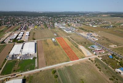 Teren Intravilan - Branesti - Investitie Pentru Hale Industriale - Vanzare - 9