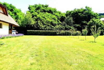 Casa traditionala de vis, aproape de Cluj-Napoca - 5