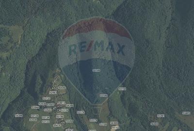 Teren de 90000 mp, în Căpușu Mare