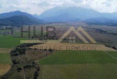 Oportunitate Investitie | Glajarie - Rasnov | Extravilan | 29.300mp - 3