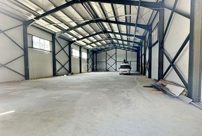 Valea Lupului - Metro, hala constructie noua, 582mp utili - 6