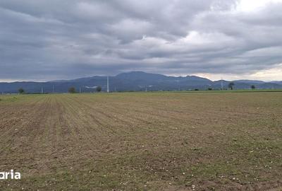 Teren de 1000 mp, în Vulcan - 4