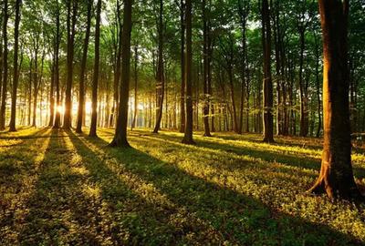 Spațiu comercial, în Păuleasca - 2