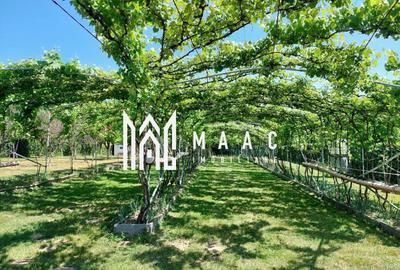 Teren | Intravilan 2.166 Mp | Construcție existenta |  Pădurea Dumbrava - 1