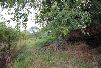 Teren Construcții intravilan de 1900 mp, în Dumbrăvița - 3