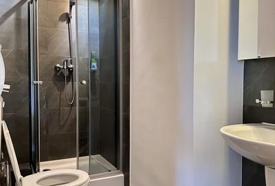 Apartament cu 4 camere semidecomandat, mobilat în Decebal - 13