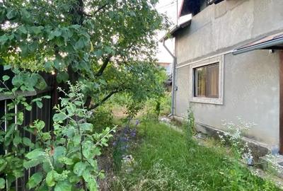Casă cu 3 camere în Plopu - 1