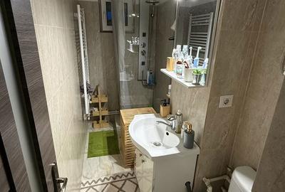 Apartament cu 2 camere semidecomandat în Craiovița Nouă - 5