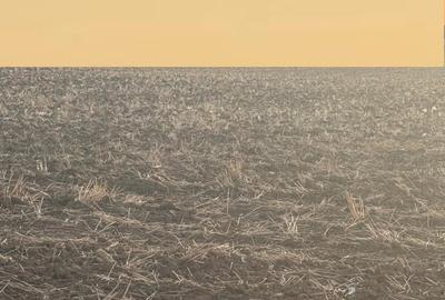 Teren în Brănești