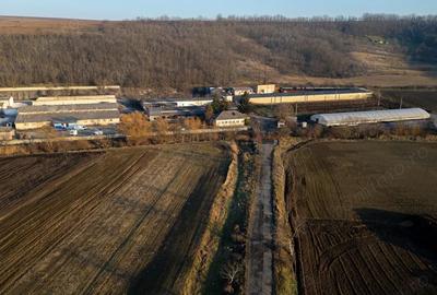 Spațiu comercial, de 50,000 mp, în Horgești - 20