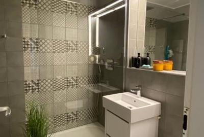 Apartament cu 2 camere decomandat, mobilat în Banu Manta - 10