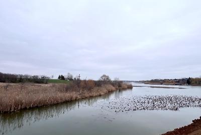 Casuta de vanzare cu ponton pe lacul Snagov - 13