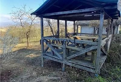 Teren de 3000 mp, în Orașu Nou - 4