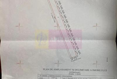 Teren Domnesti de vanzare - 2