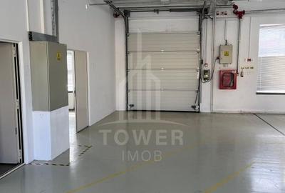 Hală industrială de închiriat în Cisnădie, județul Sibiu - 7