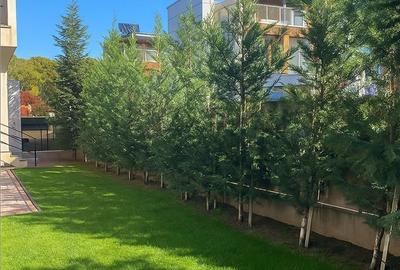 Casă cu 6 camere cu Teren 572 Mp în Central