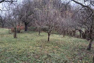 Casă cu 3 camere în Râu Alb de Jos - 4