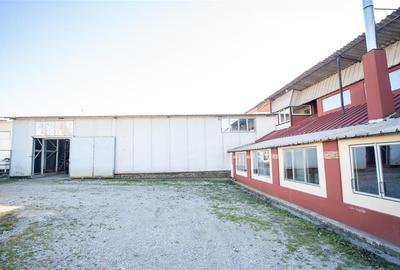 Spațiu industrial, de 753 mp, în Calea Aradului - 3