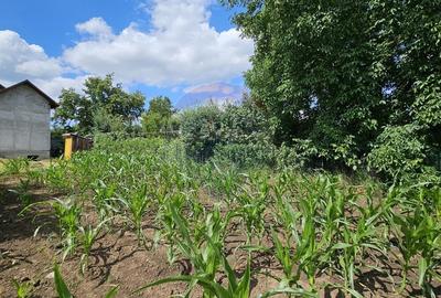 Casă individuală cu 6 camere cu Canalizare în Lisaura - 39