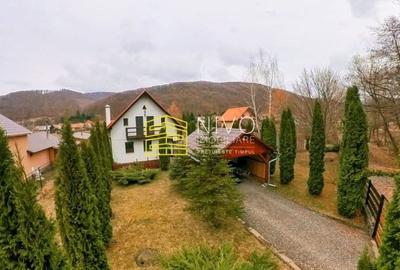 Casă singur în curte – Mureș – Câmpu Cetății - 23